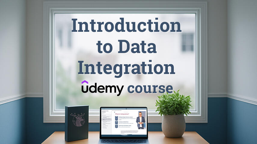 Data Integration Mastery Logo